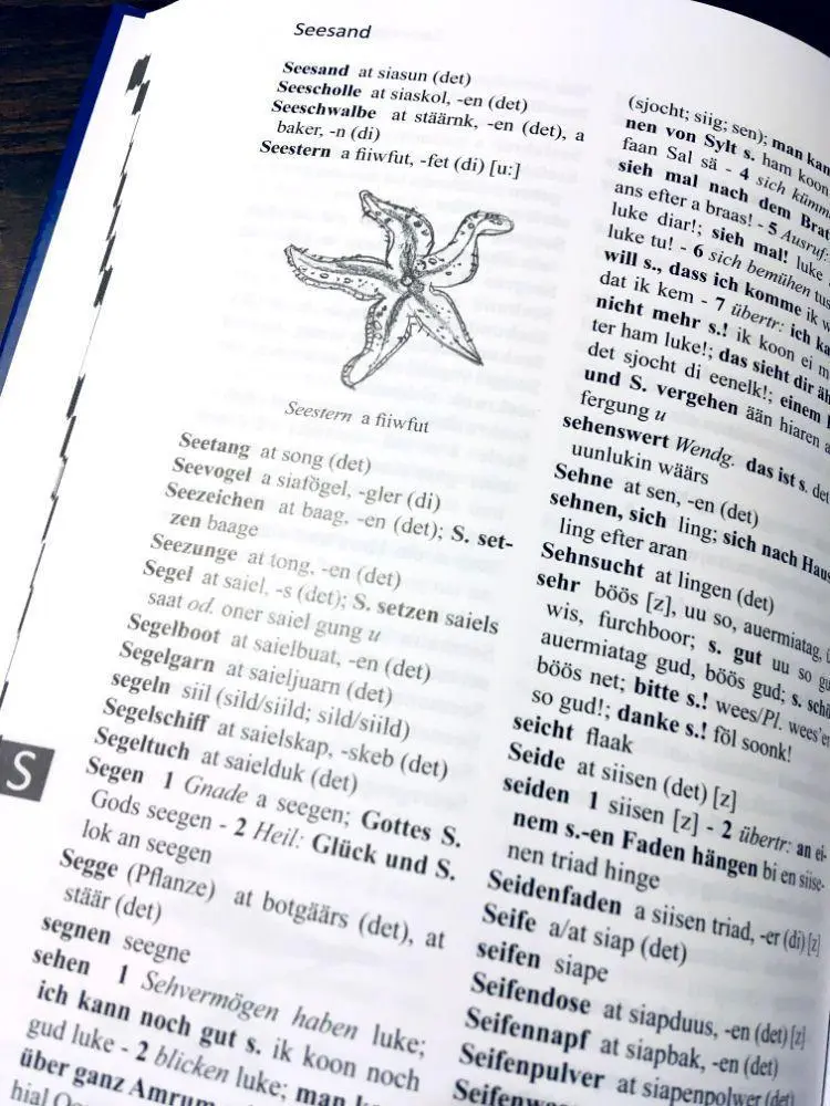 Bild: 9783924422707 | Wörterbuch Deutsch - Amrumer Friesisch / wurdenbuk sjiisk - öömrang