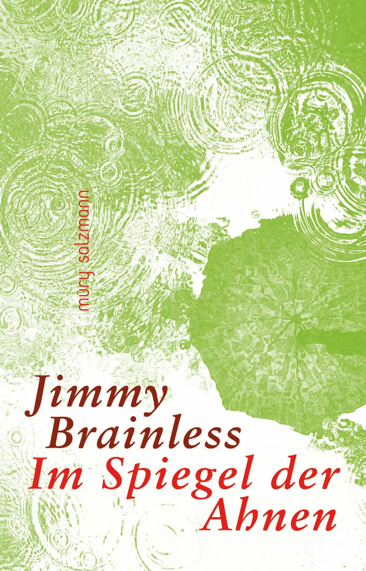 Cover: 9783990142707 | Im Spiegel der Ahnen | Roman | Jimmy Brainless | Buch | 300 S. | 2025