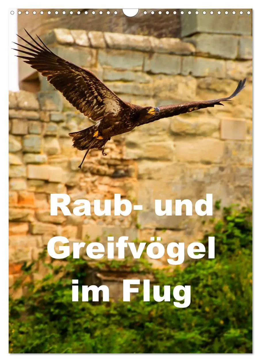 Cover: 9783516462807 | Raub- und Greifvögel im Flug (Wandkalender 2026 DIN A3 hoch),...