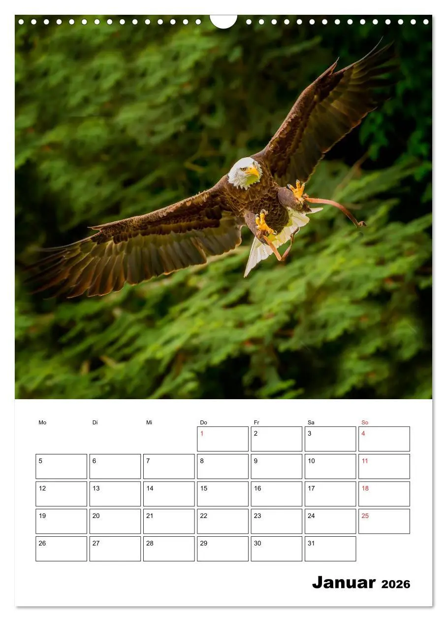 Bild: 9783516462807 | Raub- und Greifvögel im Flug (Wandkalender 2026 DIN A3 hoch),...