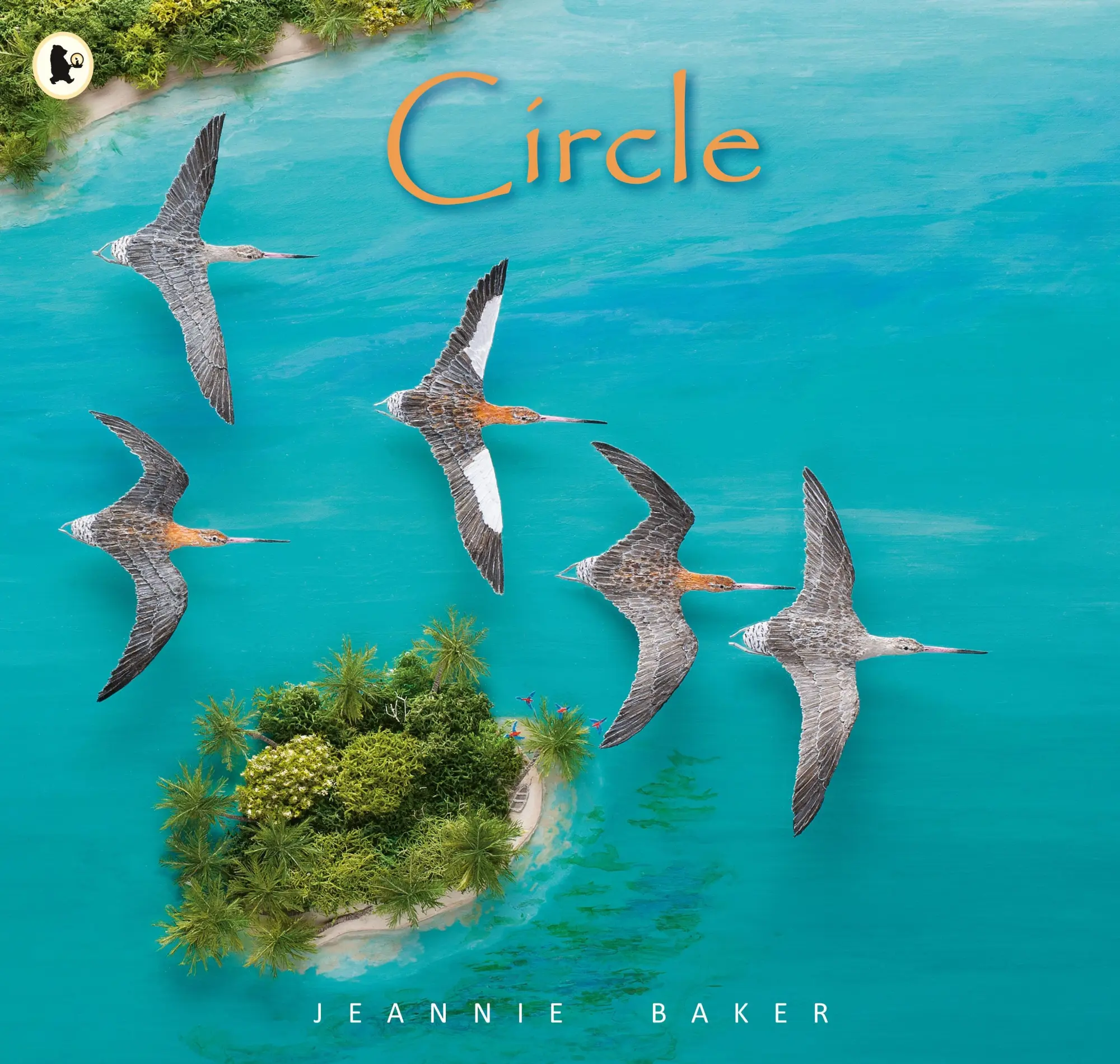 Cover: 9781406382907 | Circle | Jeannie Baker | Taschenbuch | Kartoniert / Broschiert | 2020