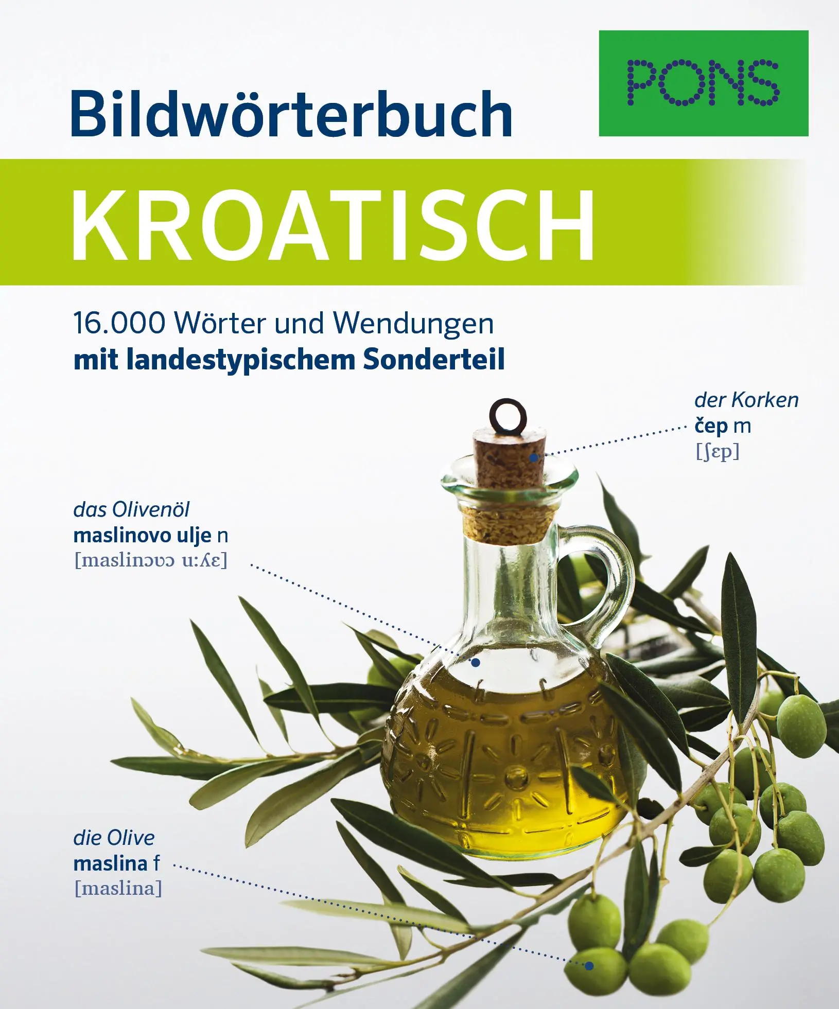 Cover: 9783125162907 | PONS Bildwörterbuch Kroatisch | Taschenbuch | PONS Bildwörterbuch