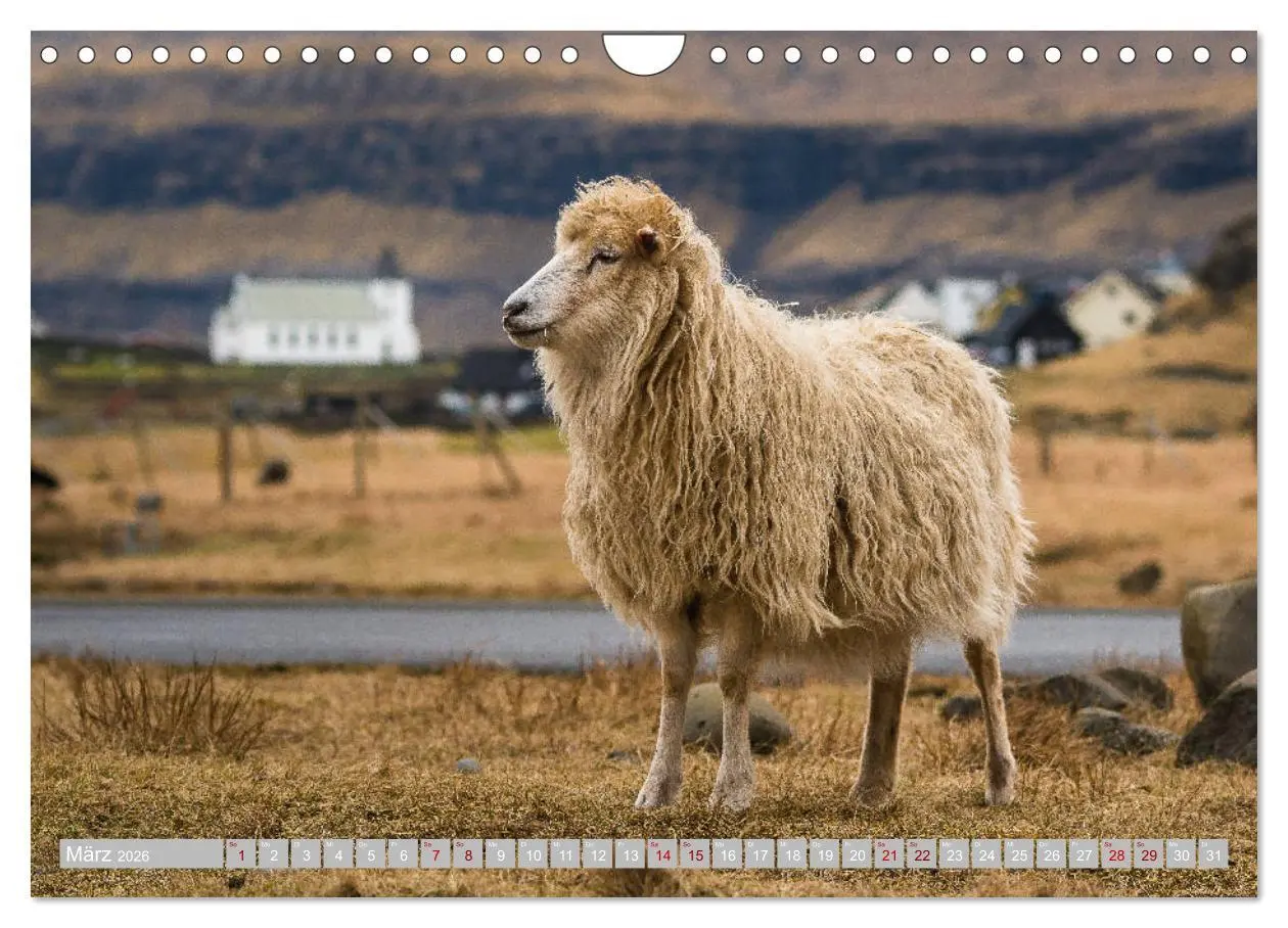 Bild: 9783457812907 | Traumlandschaft im Nordatlantik. Färöer Inseln (Wandkalender 2026...