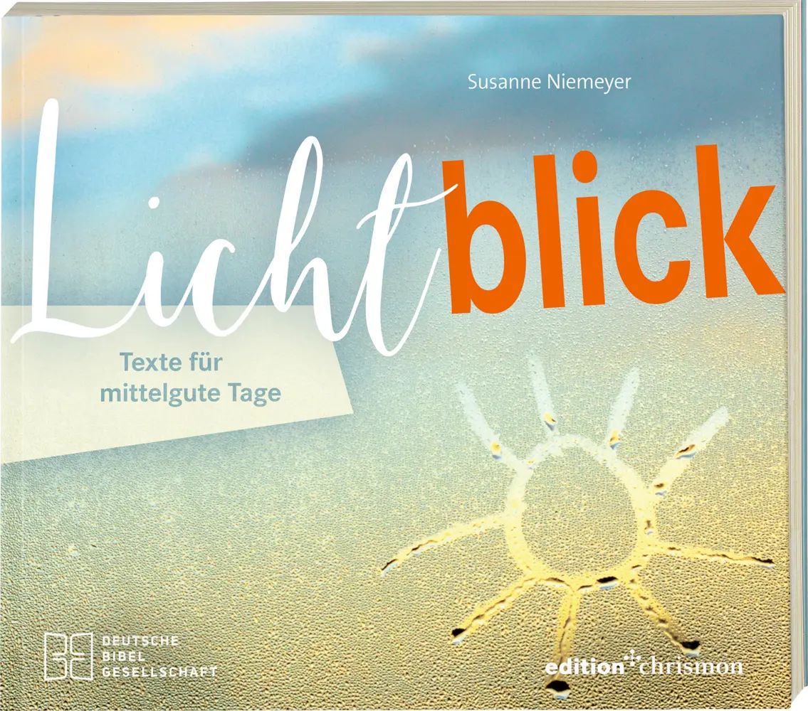 Cover: 9783438063007 | Lichtblick. Texte für mittelgute Tage | Susanne Niemeyer | Taschenbuch