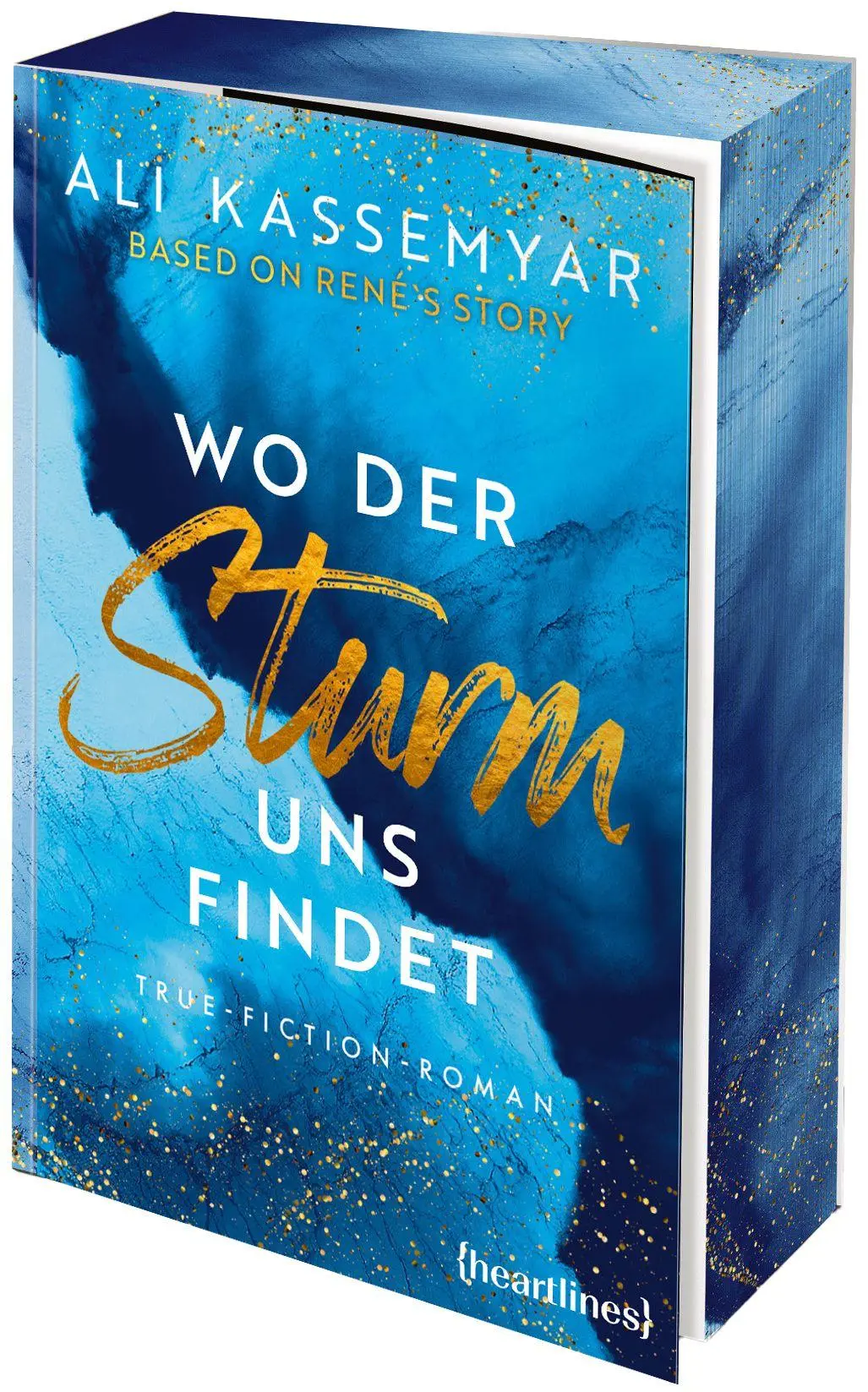 Cover: 9783453293007 | Wo der Sturm uns findet - Based on René's Story | Ali Kassemyar | Buch