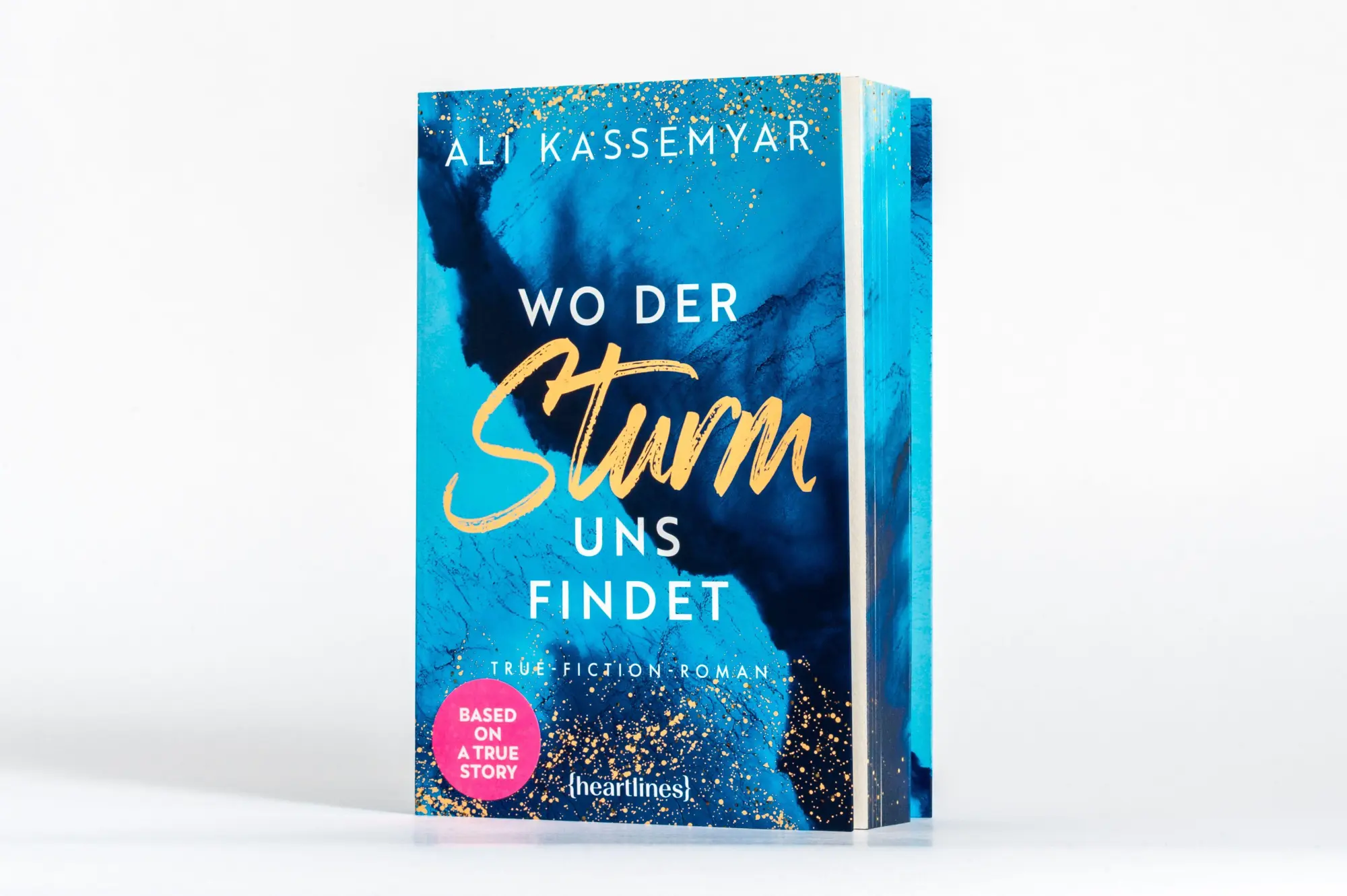 Bild: 9783453293007 | Wo der Sturm uns findet - Based on René's Story | Ali Kassemyar | Buch