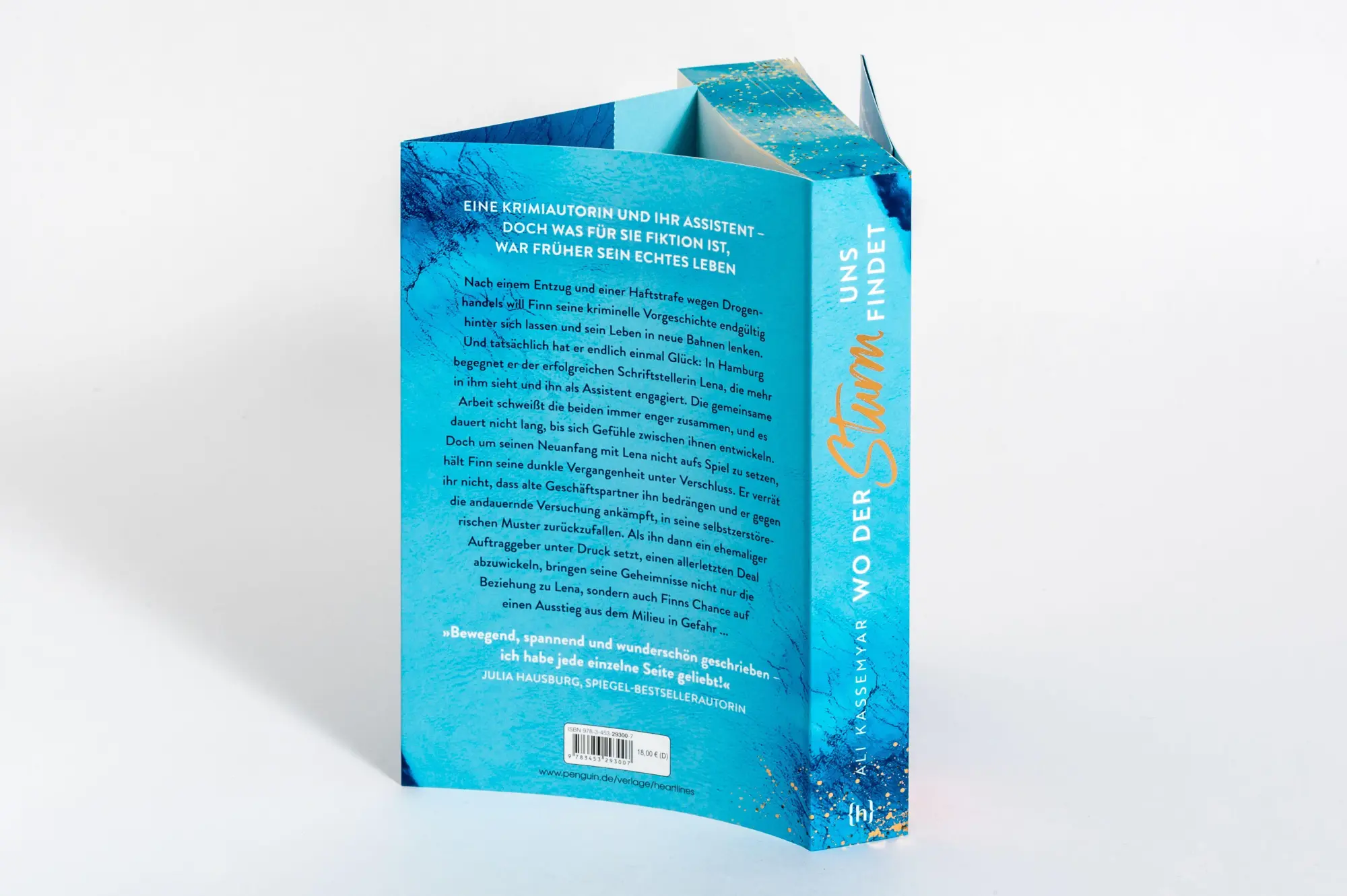 Bild: 9783453293007 | Wo der Sturm uns findet - Based on René's Story | Ali Kassemyar | Buch
