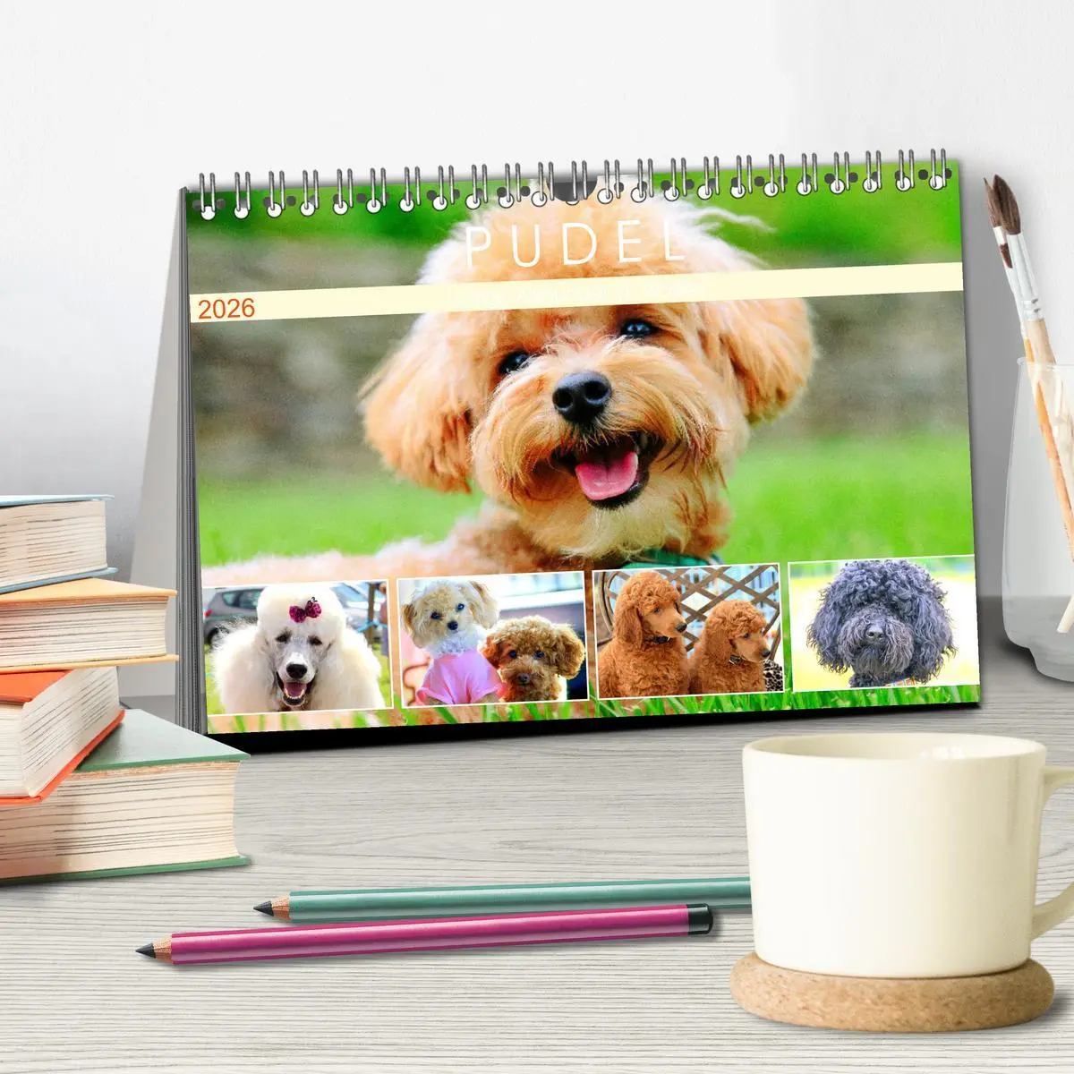 Bild: 9783457633007 | Pudel. Lustige Allrounder im Wollfell (Tischkalender 2026 DIN A5...