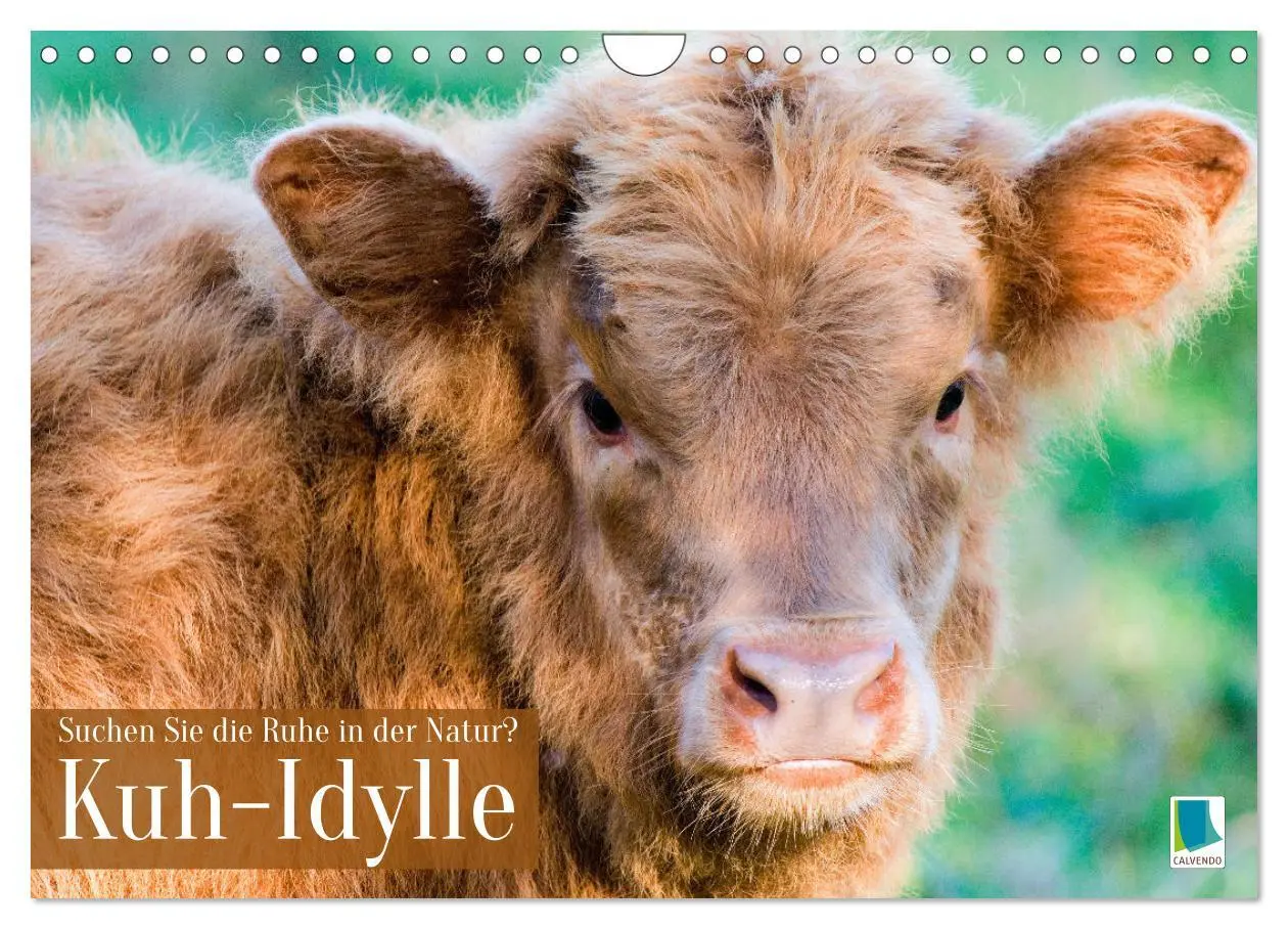 Cover: 9783457943007 | Kuh-Idylle: Suchen Sie die Ruhe in der Natur? (Wandkalender 2026...