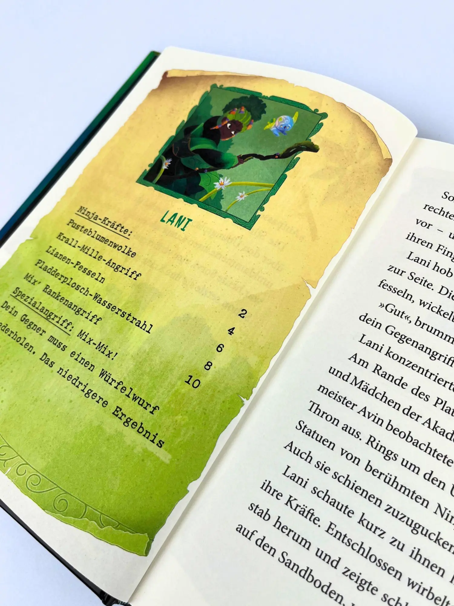 Bild: 9783764153007 | Ninja School (Ninja School, Bd. 1) | Hendrik Lambertus | Buch | 128 S.