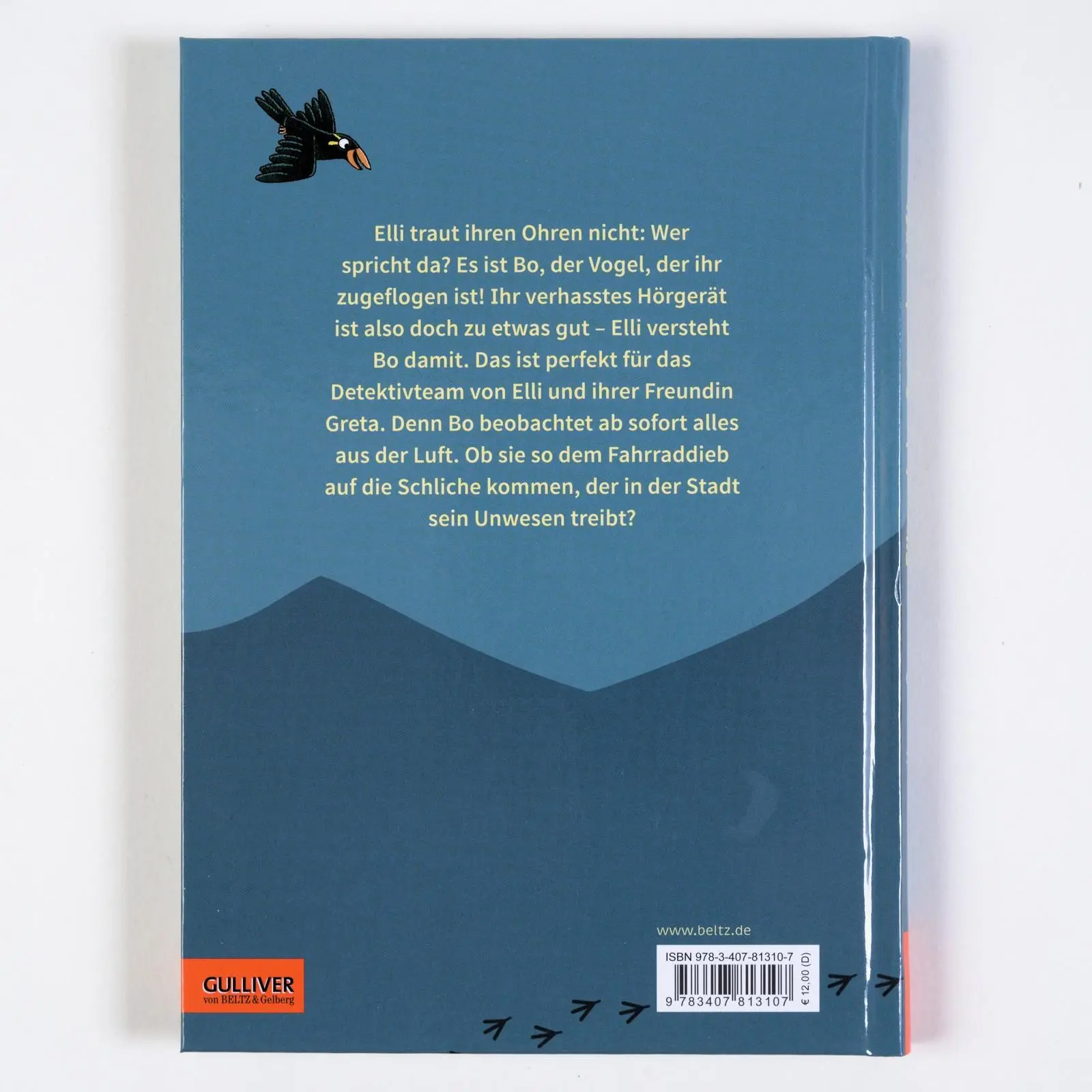 Rückseite: 9783407813107 | Elli und der Spion der Lüfte | Karen Owen | Buch | 128 S. | Deutsch