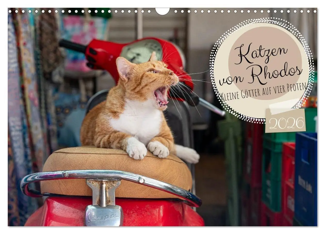 Cover: 9783516713107 | Katzen von Rhodos - Kleine Götter auf vier Pfoten (Wandkalender...