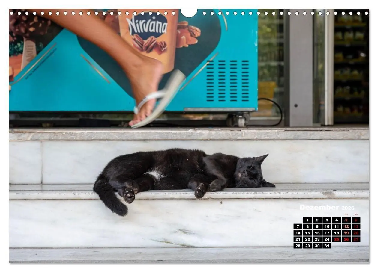 Bild: 9783516713107 | Katzen von Rhodos - Kleine Götter auf vier Pfoten (Wandkalender...