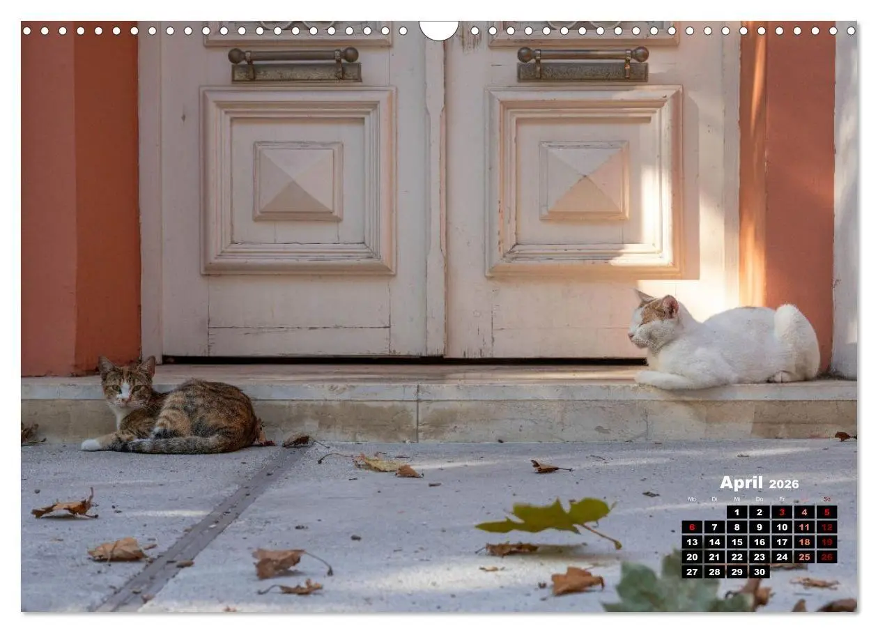 Bild: 9783516713107 | Katzen von Rhodos - Kleine Götter auf vier Pfoten (Wandkalender...