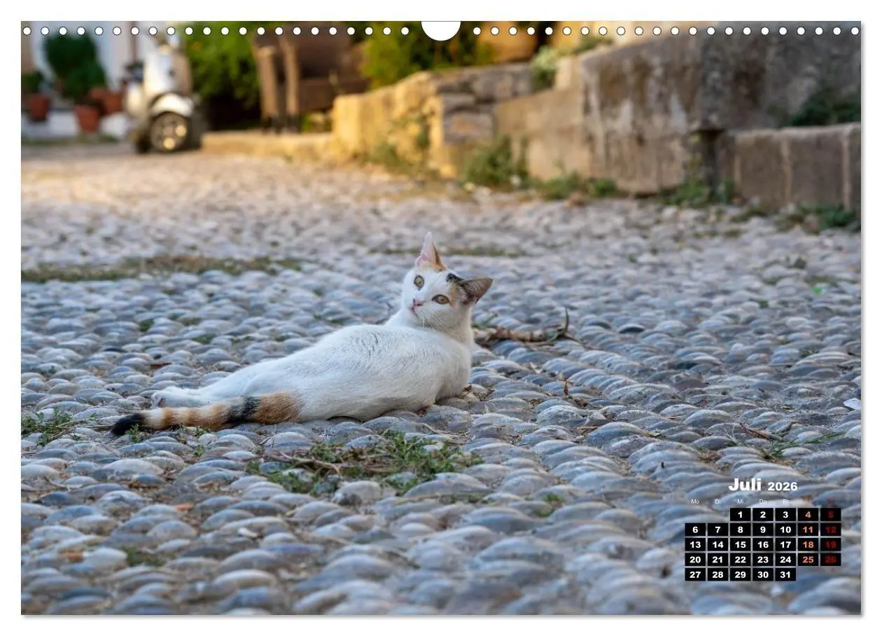 Bild: 9783516713107 | Katzen von Rhodos - Kleine Götter auf vier Pfoten (Wandkalender...