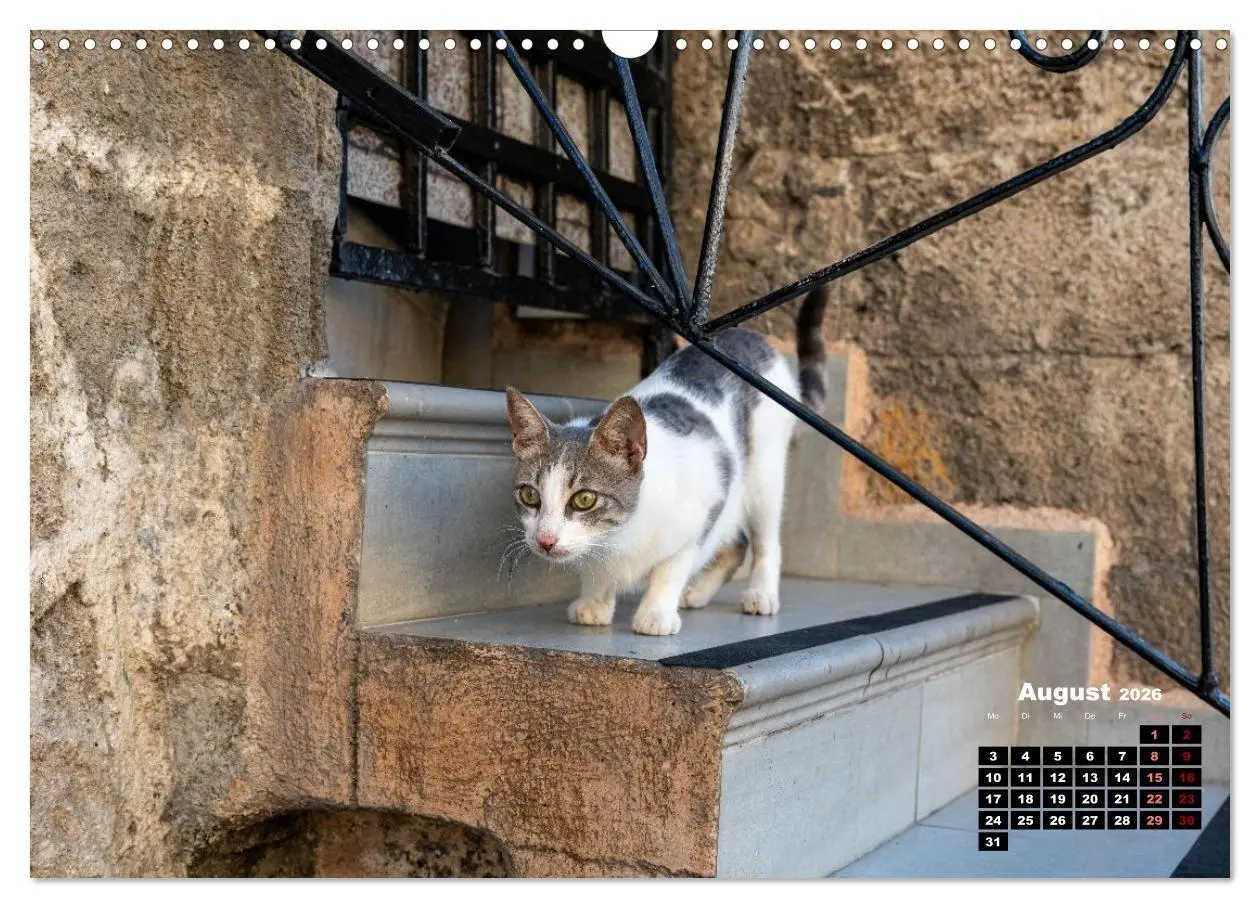 Bild: 9783516713107 | Katzen von Rhodos - Kleine Götter auf vier Pfoten (Wandkalender...