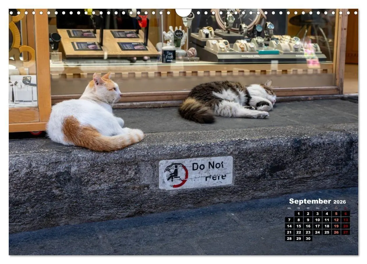 Bild: 9783516713107 | Katzen von Rhodos - Kleine Götter auf vier Pfoten (Wandkalender...
