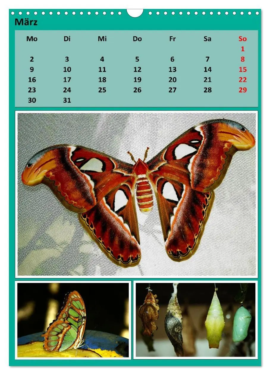 Bild: 9783457303207 | Karibik - Eindrücke einer Kreuzfahrt (Wandkalender 2026 DIN A3...