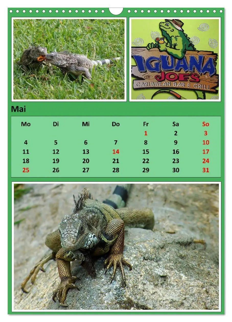 Bild: 9783457303207 | Karibik - Eindrücke einer Kreuzfahrt (Wandkalender 2026 DIN A3...