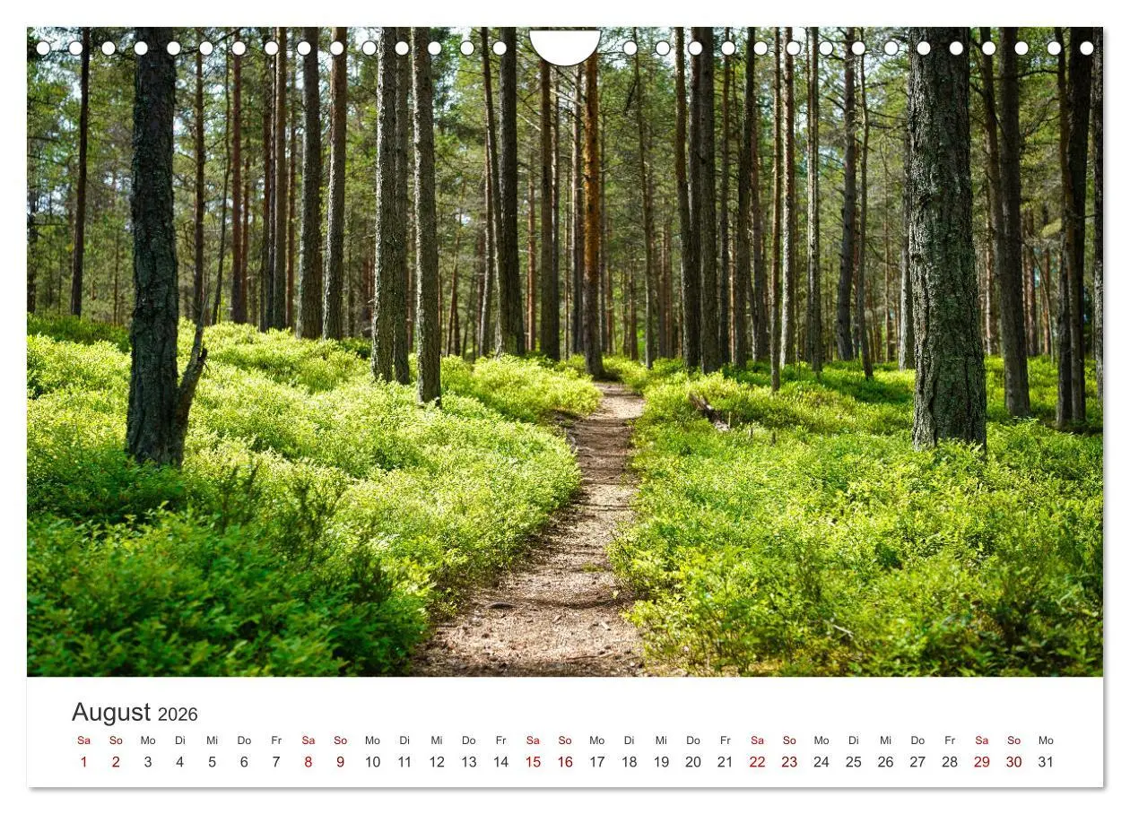 Bild: 9783457613207 | Estland - Ein unterschätztes Reiseziel. (Wandkalender 2026 DIN A4...