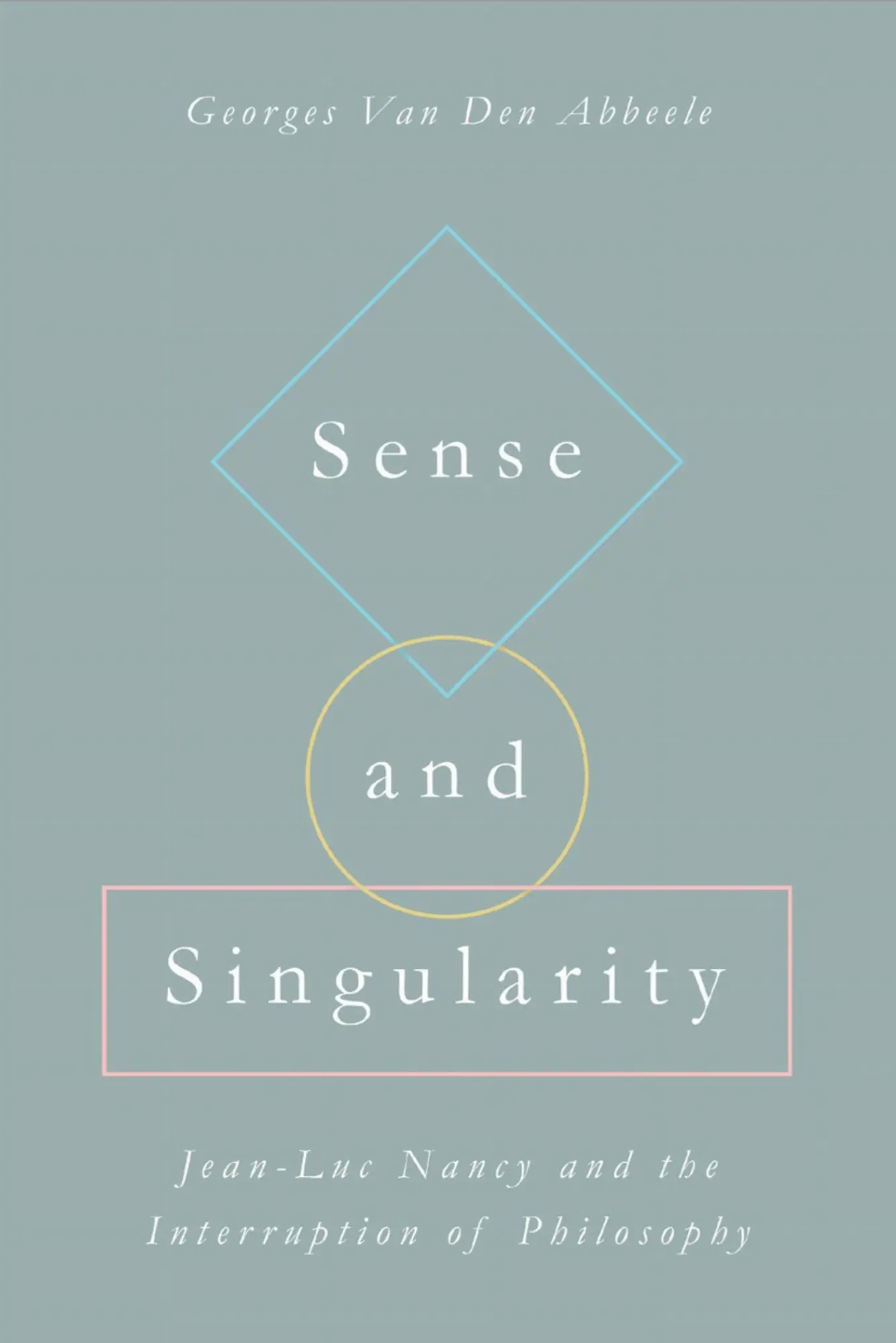 Sense and Singularity