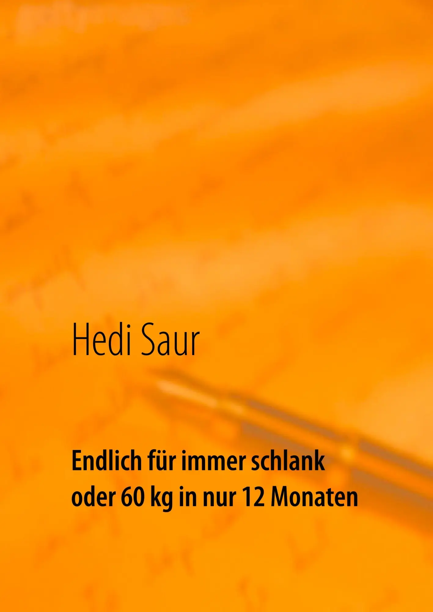 Cover: 9783740733407 | Endlich für immer schlank oder 60 kg in nur 12 Monaten | Hedi Saur