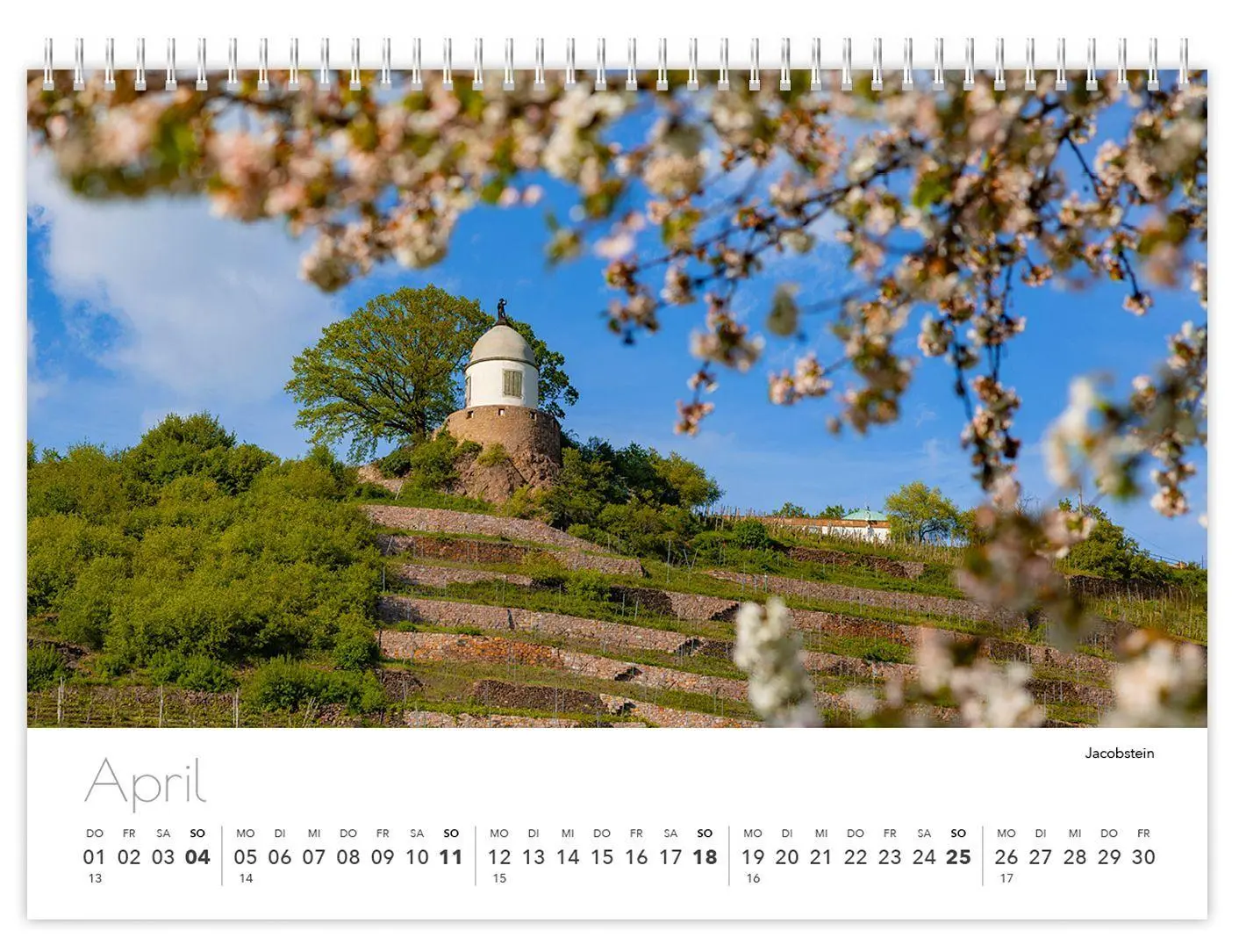Bild: 9783912303407 | Radebeul kompakt 2027 | 21 x 15 cm weißes Kalendarium | Verlag (u. a.)