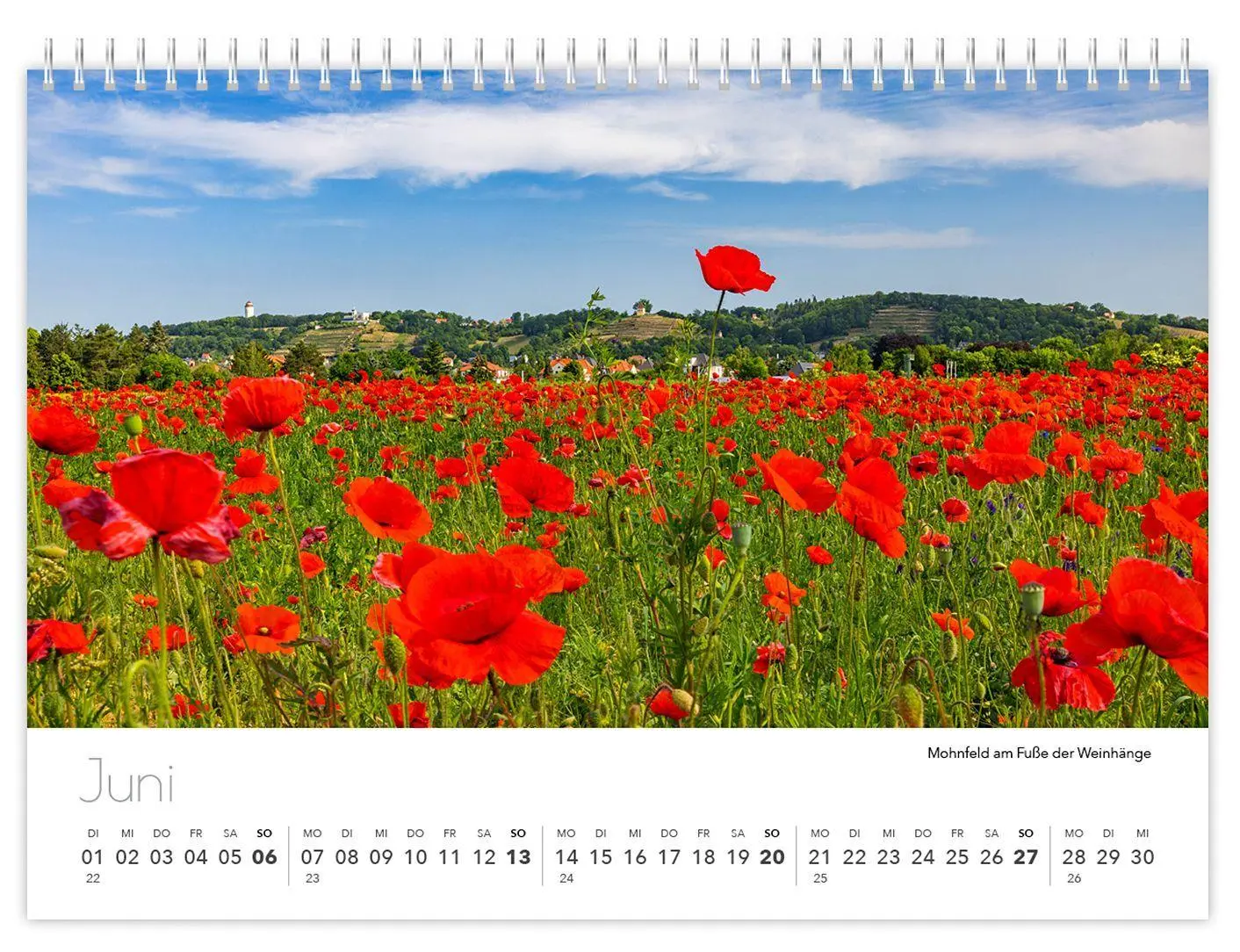 Bild: 9783912303407 | Radebeul kompakt 2027 | 21 x 15 cm weißes Kalendarium | Verlag (u. a.)