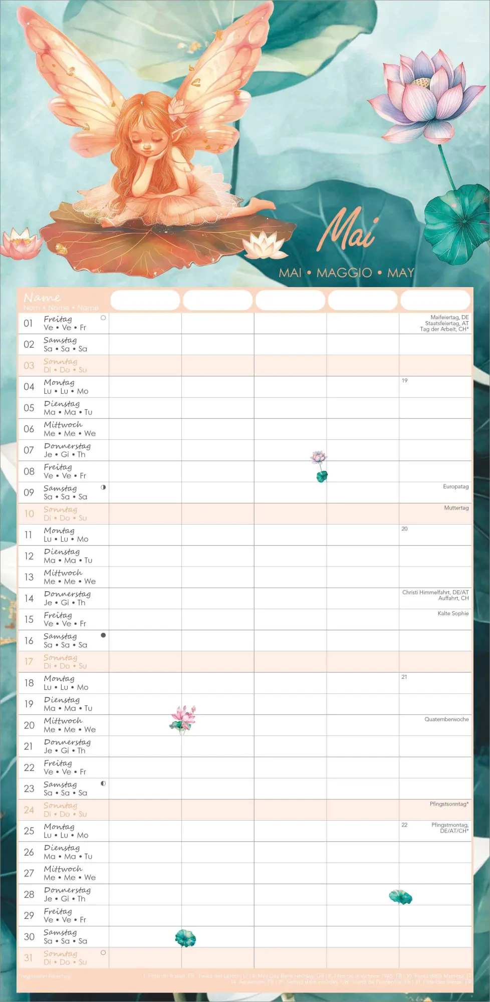 Bild: 4069095003507 | Familienplaner Feenzauber im Format 22 x 45 mit 5 Spalten | Kalender