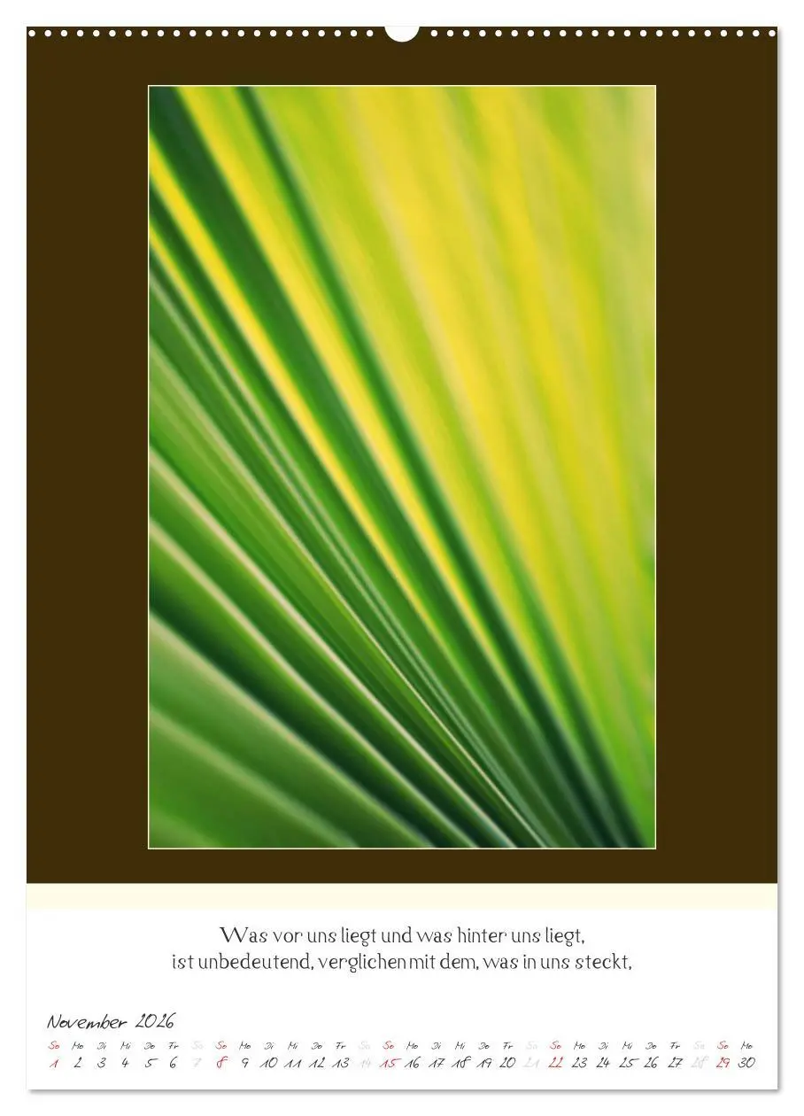 Bild: 9783516463507 | Der Buddhistische Weisheiten Kalender (Wandkalender 2026 DIN A2...