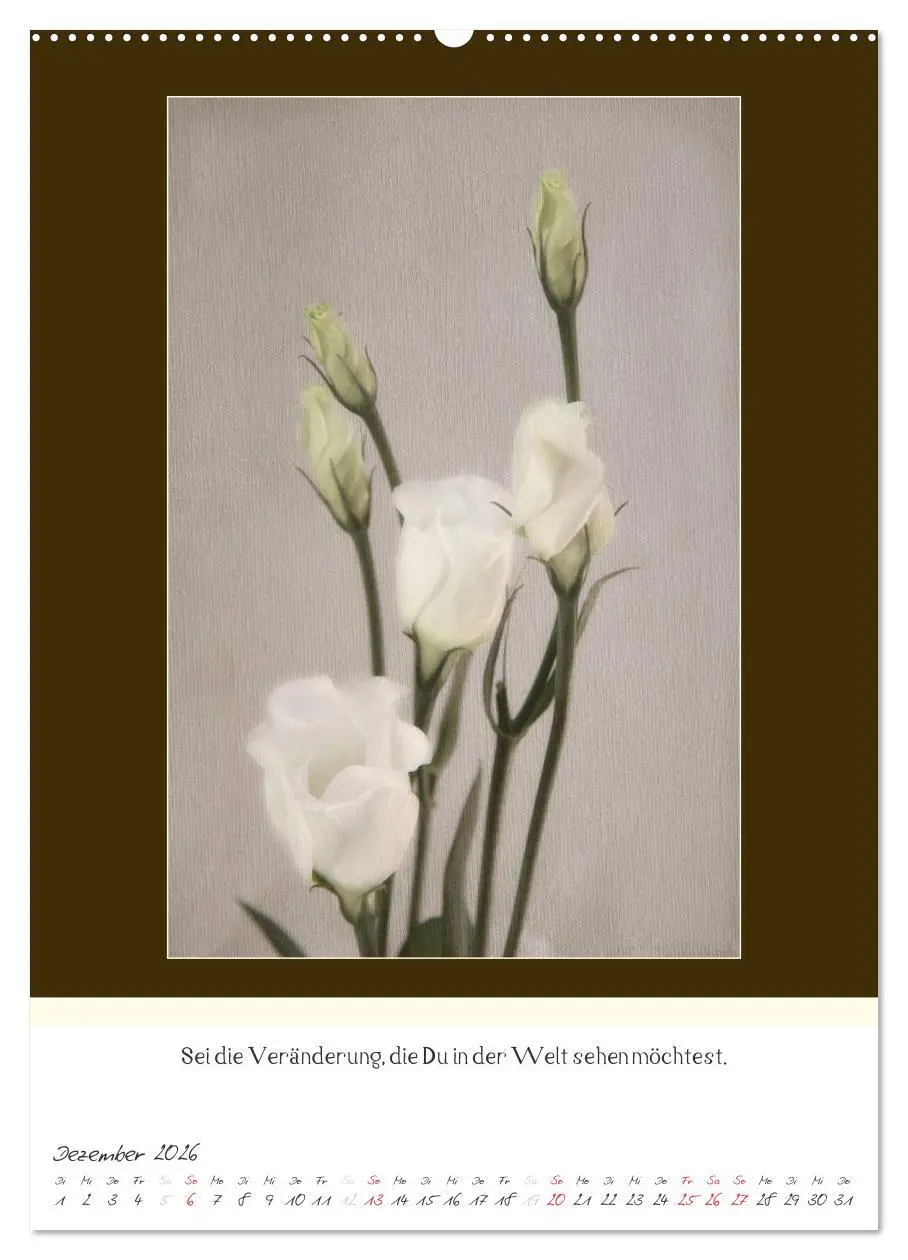 Bild: 9783516463507 | Der Buddhistische Weisheiten Kalender (Wandkalender 2026 DIN A2...