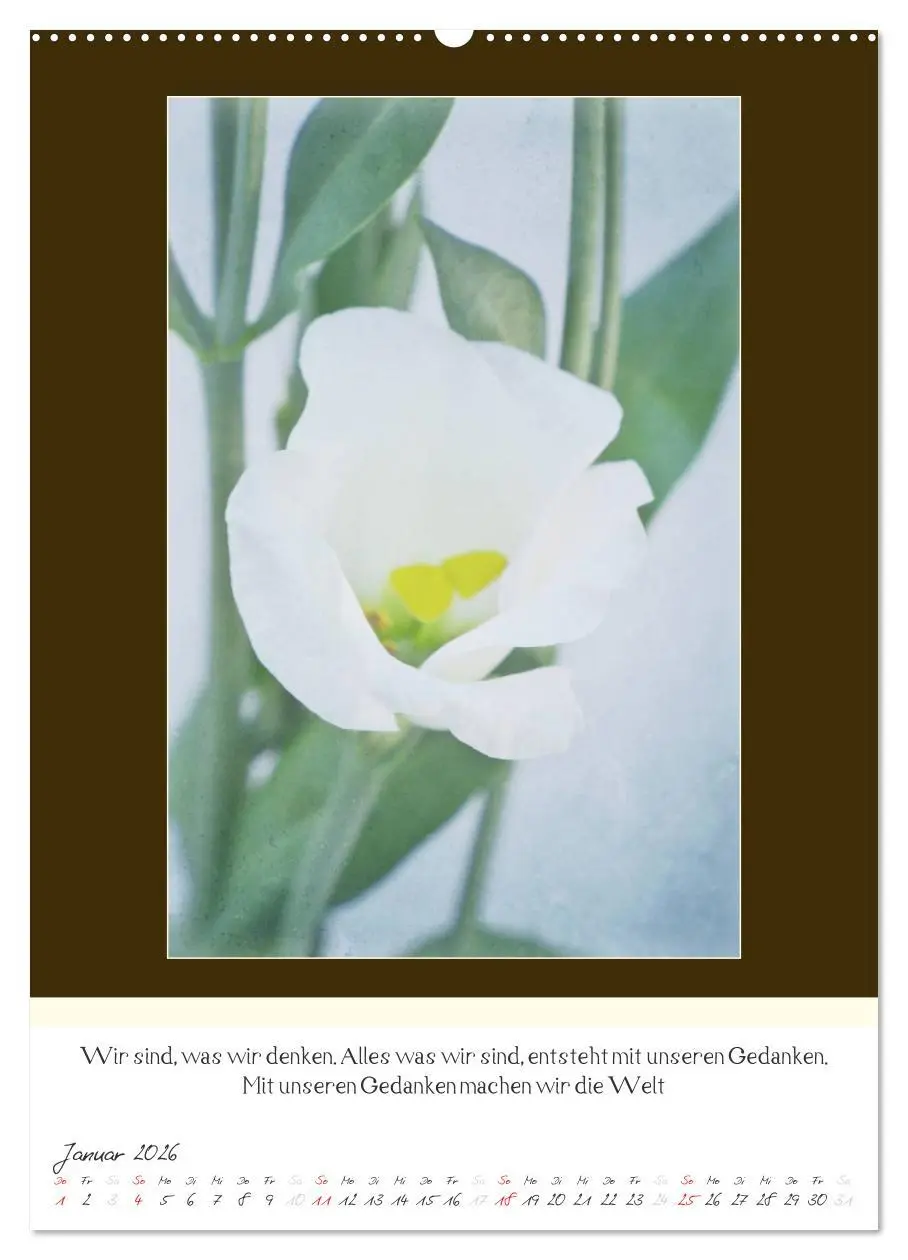 Bild: 9783516463507 | Der Buddhistische Weisheiten Kalender (Wandkalender 2026 DIN A2...