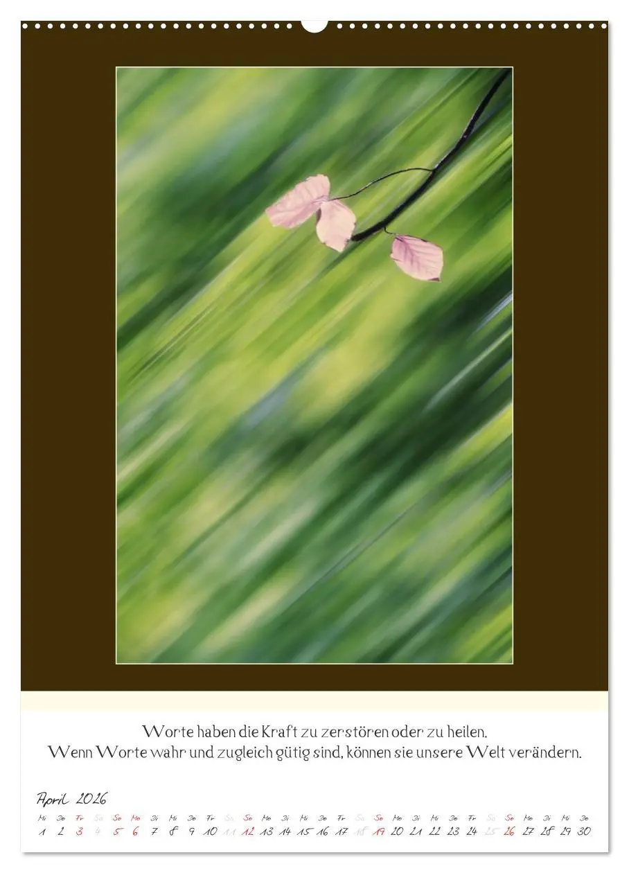 Bild: 9783516463507 | Der Buddhistische Weisheiten Kalender (Wandkalender 2026 DIN A2...