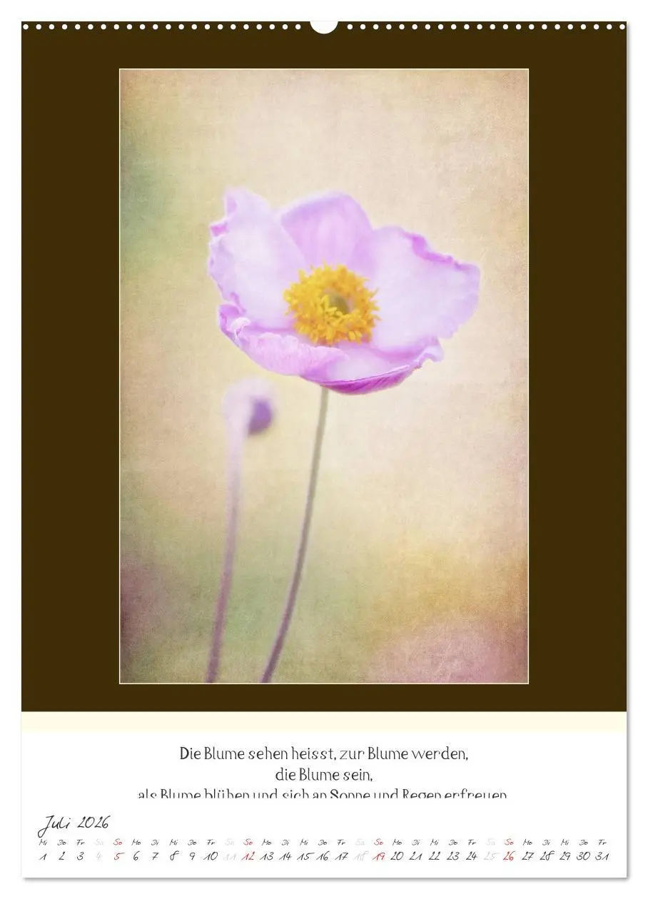 Bild: 9783516463507 | Der Buddhistische Weisheiten Kalender (Wandkalender 2026 DIN A2...