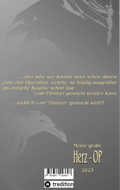 Rückseite: 9783384243607 | Odyssee im Krankenhaus | Mein Herz in meiner Hand | Dirk Viessmann