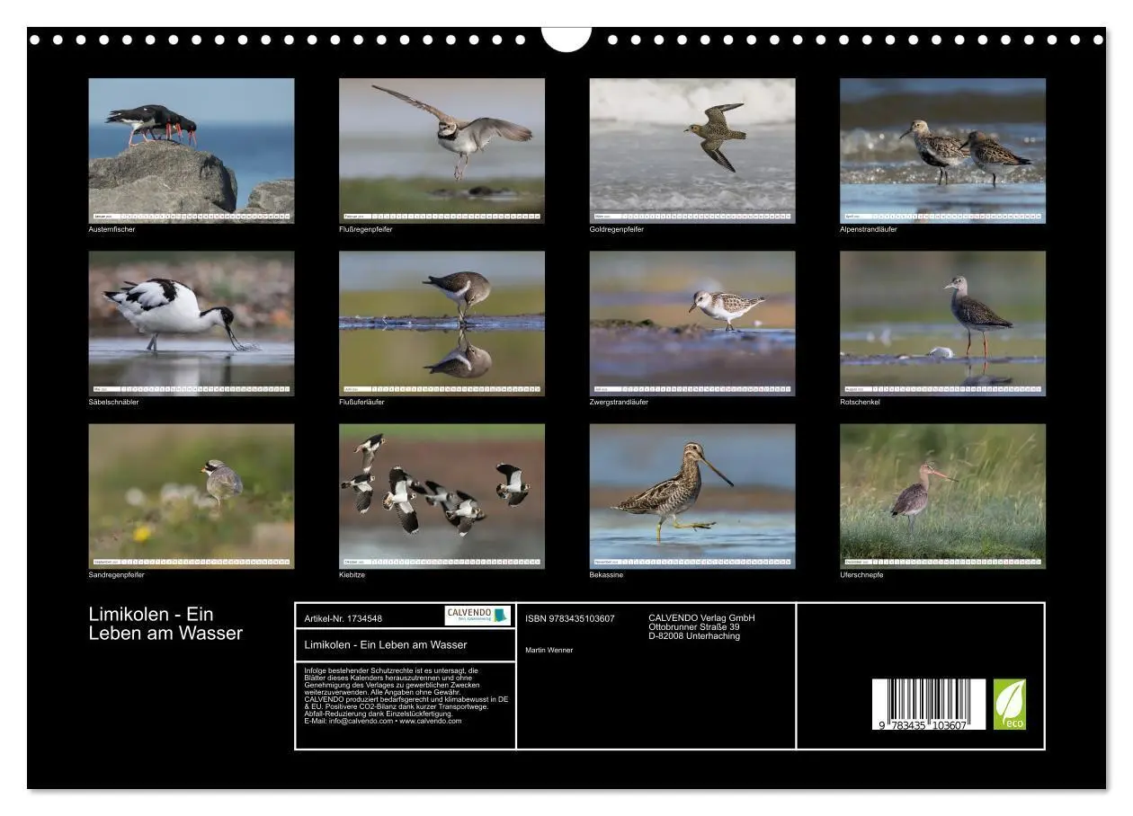 Bild: 9783435103607 | Limikolen - Ein Leben am Wasser (Wandkalender 2025 DIN A3 quer),...