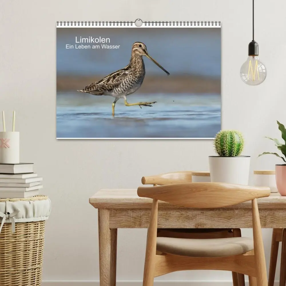 Bild: 9783435103607 | Limikolen - Ein Leben am Wasser (Wandkalender 2025 DIN A3 quer),...