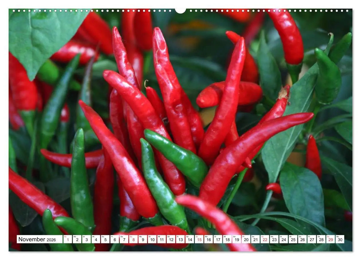 Bild: 9783457983607 | Für Chili Liebhaber (Wandkalender 2026 DIN A2 quer), CALVENDO...