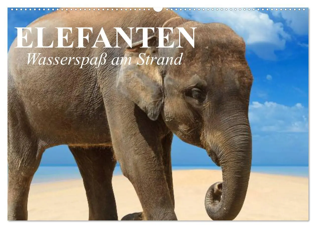 Cover: 9783516213607 | Elefanten - Wasserspaß am Strand (Wandkalender 2026 DIN A2 quer),...