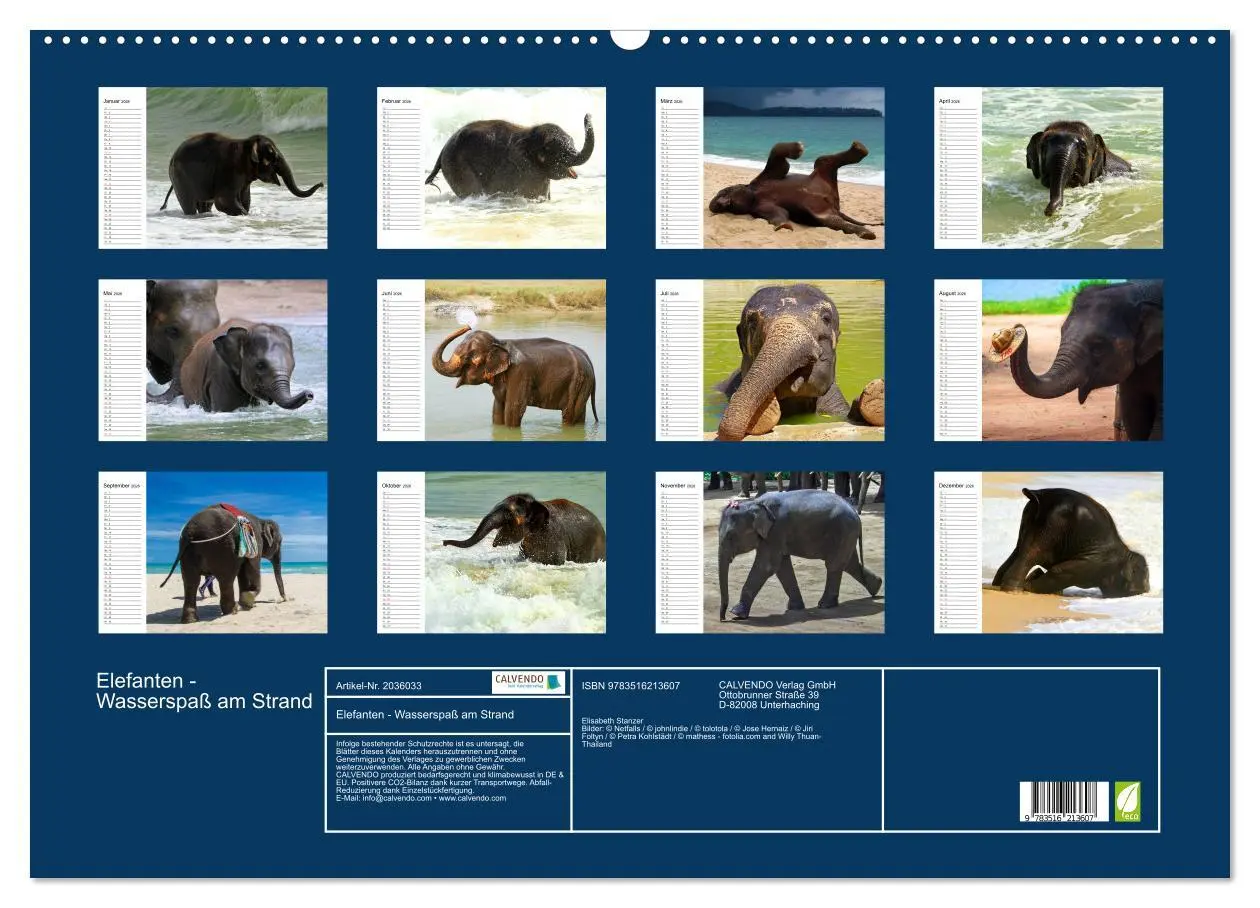 Bild: 9783516213607 | Elefanten - Wasserspaß am Strand (Wandkalender 2026 DIN A2 quer),...