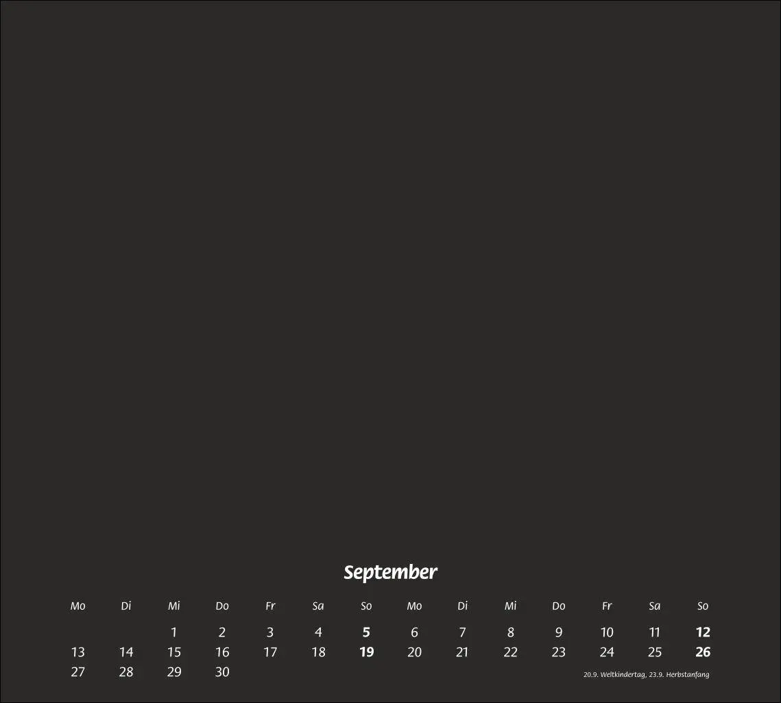 Bild: 9783756413607 | times&amp;more Bastelkalender schwarz 2027 | Heye | Kalender | 14 S.