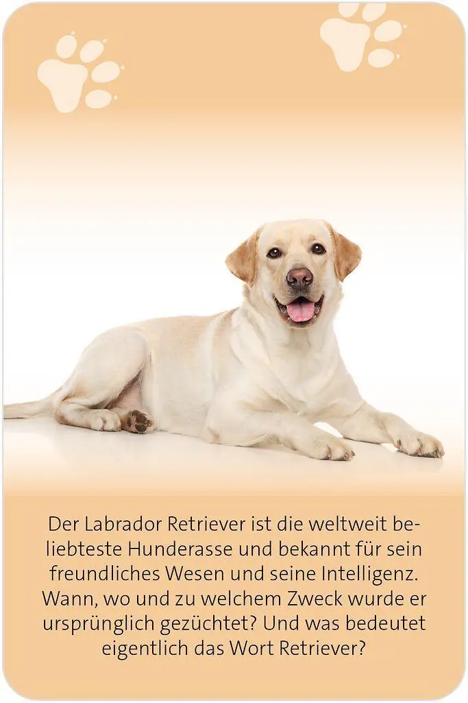 Bild: 9783964553607 | Das große Hunde Quiz | Über 150 Fragen zu den treuen Vierbeinern