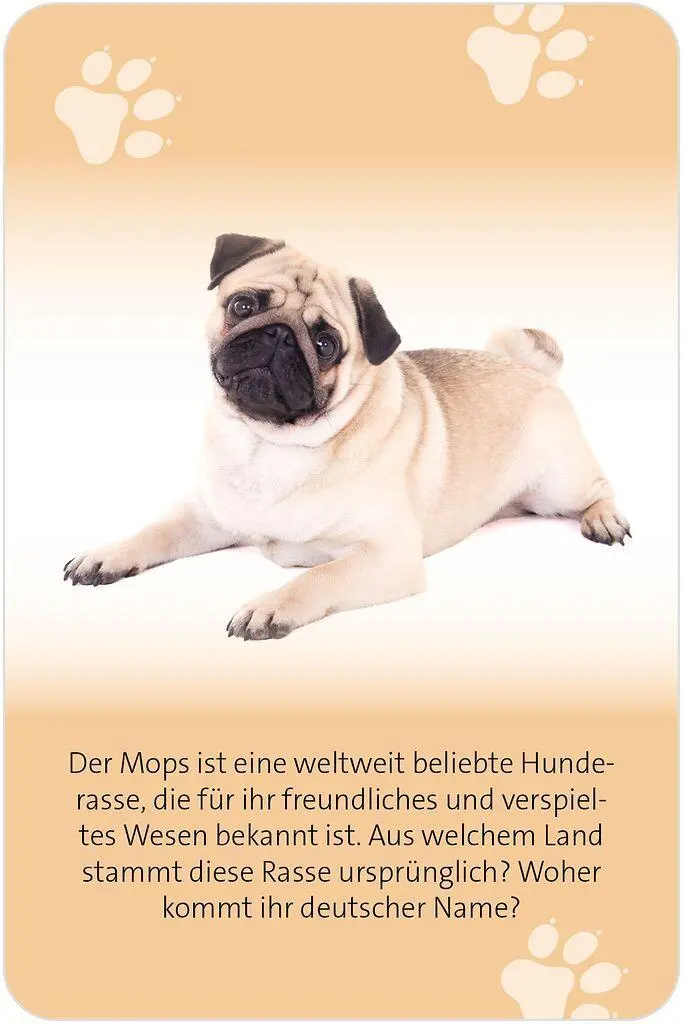 Bild: 9783964553607 | Das große Hunde Quiz | Über 150 Fragen zu den treuen Vierbeinern