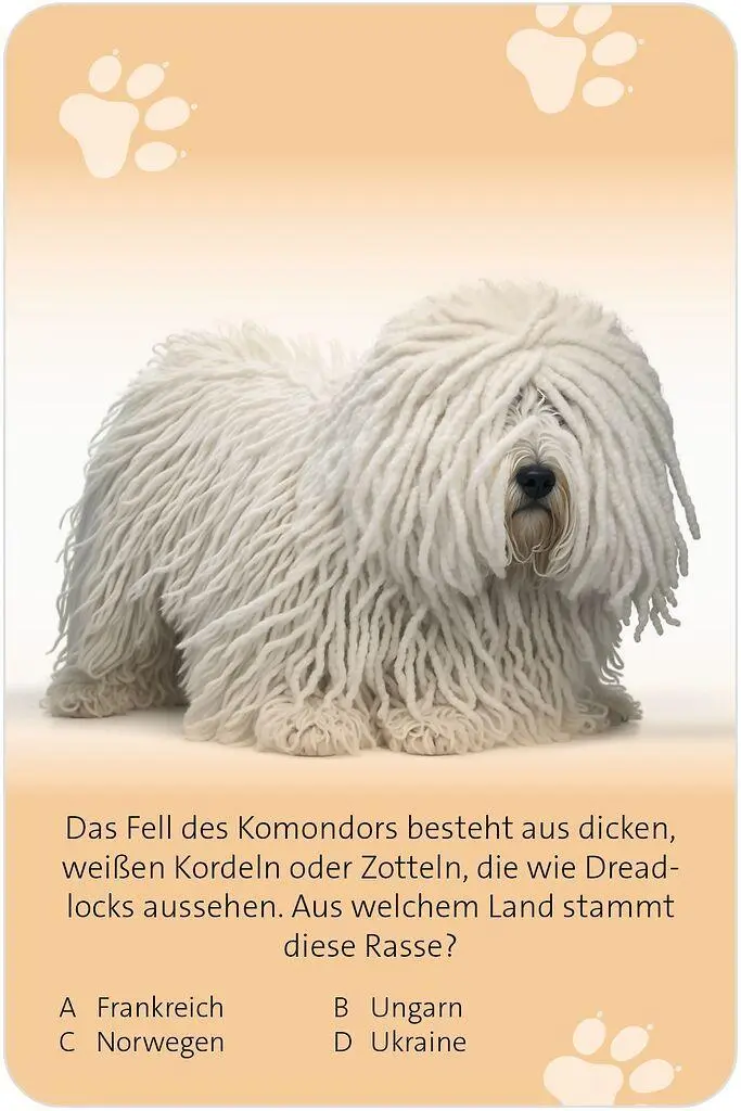 Bild: 9783964553607 | Das große Hunde Quiz | Über 150 Fragen zu den treuen Vierbeinern
