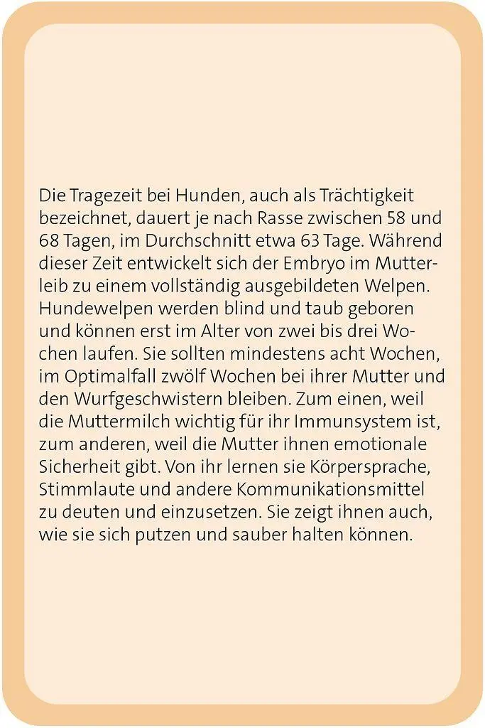 Bild: 9783964553607 | Das große Hunde Quiz | Über 150 Fragen zu den treuen Vierbeinern