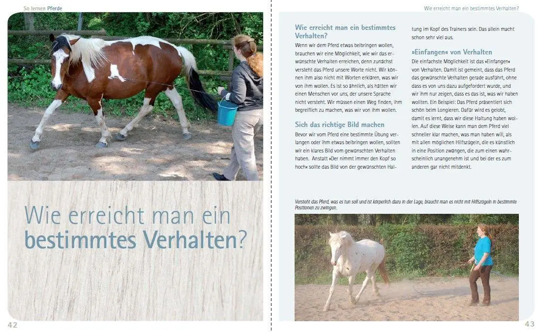 Bild: 9783275023707 | So lernen Pferde | Lernverhalten verstehen und Verhalten verändern