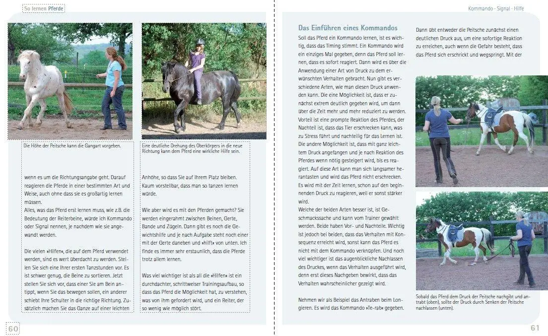 Bild: 9783275023707 | So lernen Pferde | Lernverhalten verstehen und Verhalten verändern