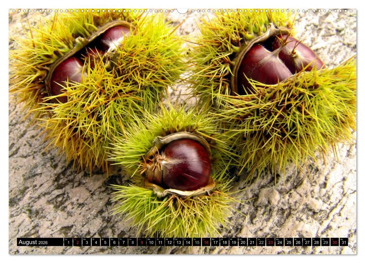 Bild: 9783516133707 | Wunderschönes Tessin (Wandkalender 2026 DIN A2 quer), CALVENDO...