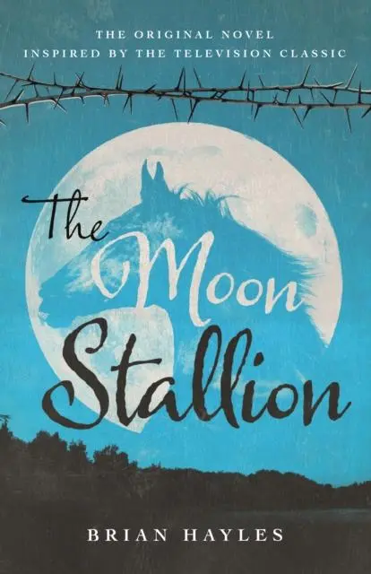 Cover: 9781781963807 | The Moon Stallion | Brian Hayles | Taschenbuch | Englisch | 2023