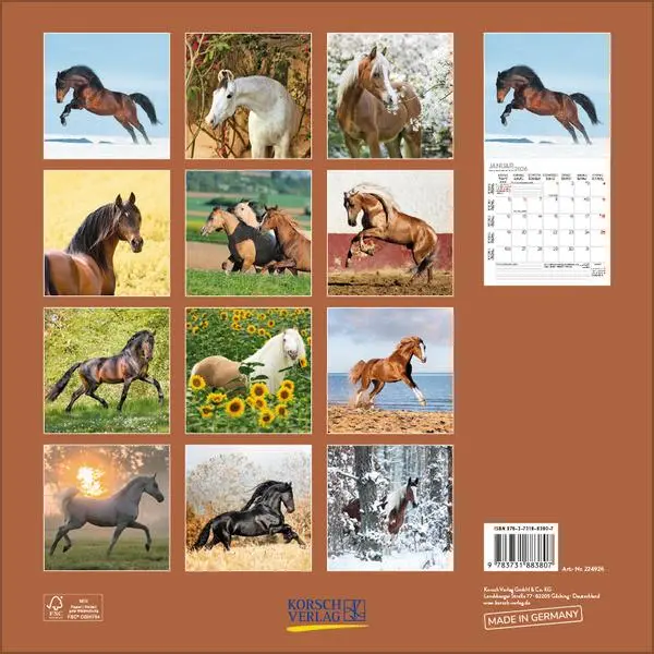 Bild: 9783731883807 | Horses 2026 | Verlag Korsch | Kalender | 13 S. | Deutsch | 2026